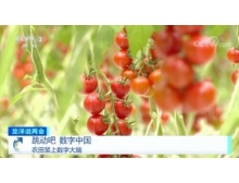 晉中市兩會關注數字農業，構建鄉村振興的數字藍海